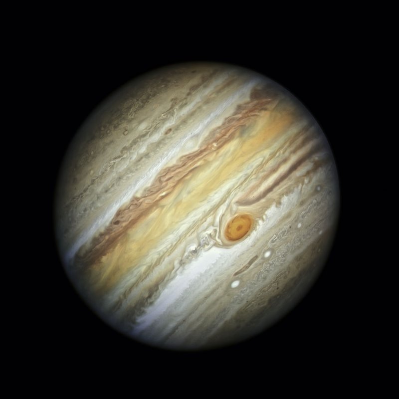 jupiter Como en casa en ningún sitio
