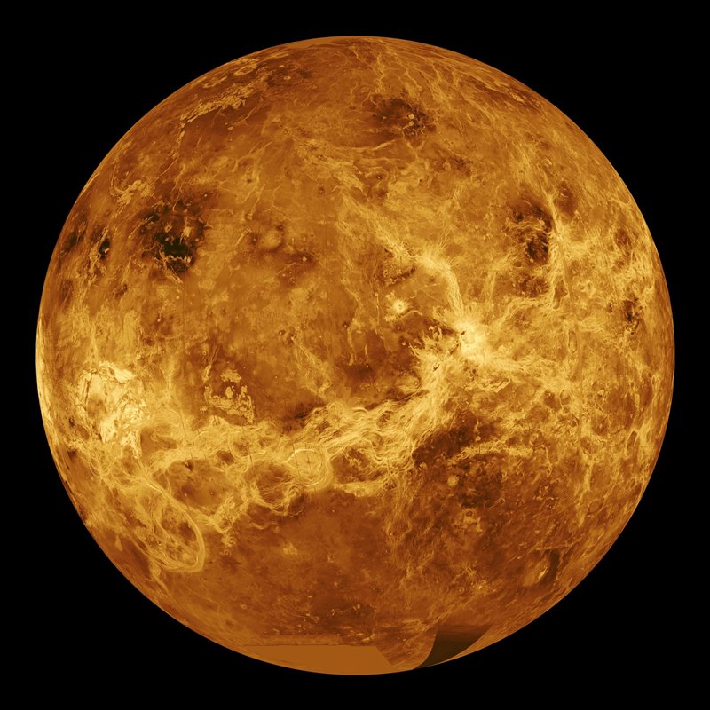venus Como en casa en ningún sitio